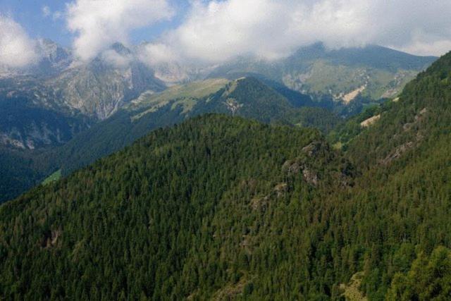 Hotel Residence La Rosa Castione della Presolana Kültér fotó